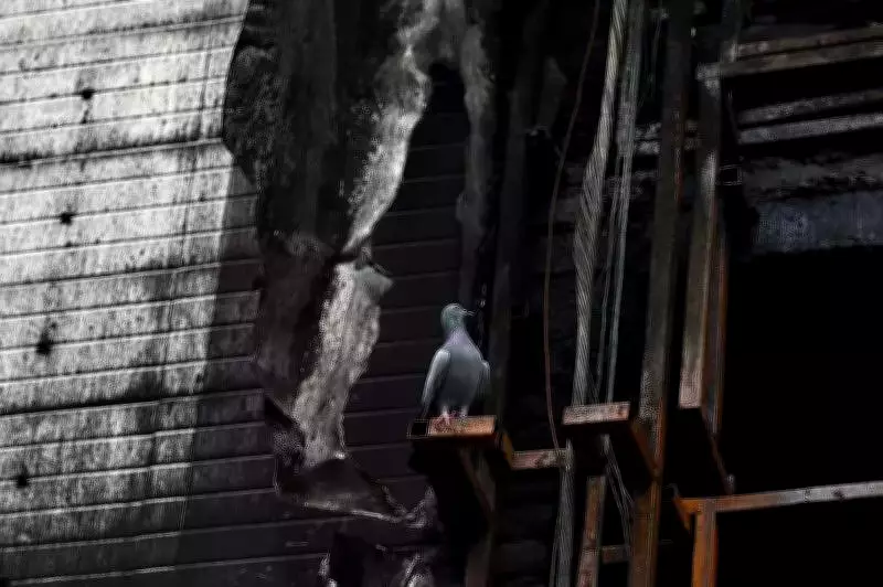 Delhi Market Mourns After Deadly Fire, Shopkeepers Plan Safety Measures