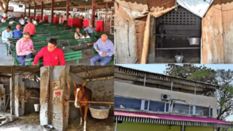 Delhi Race Club Faces Eviction After 100 Years, Livelihoods at Stake