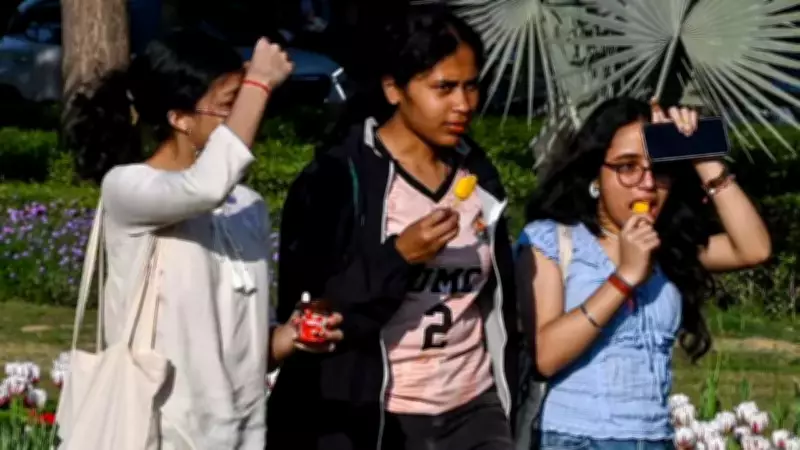 Delhi Records Hottest Day of Season at 34.3°C, Temperatures to Rise Further