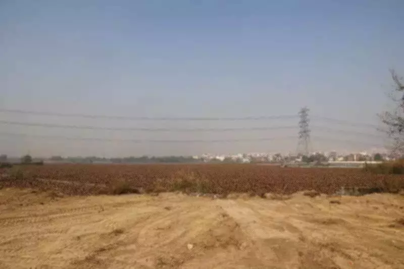 Delhi's Dying Tikri Khurd Lake to Be Transformed into City's First Meadow Park