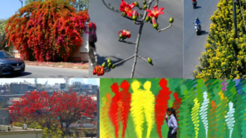 Delhi's Spring Bloom Transforms Urban Landscape with Vibrant Colors