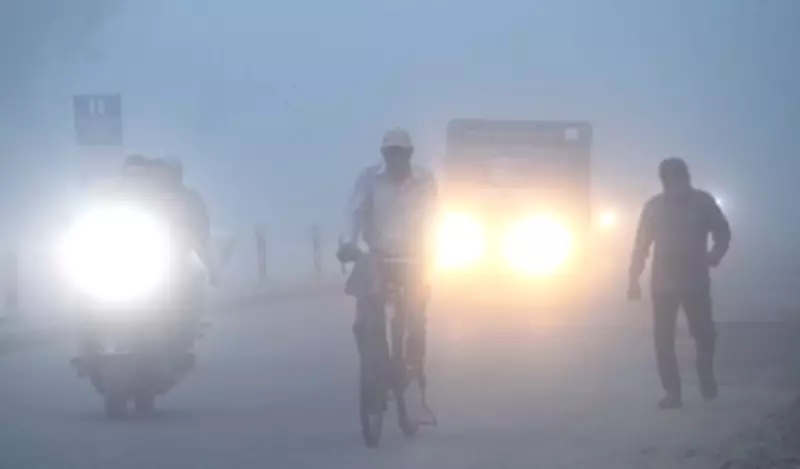 Dense Fog Blankets Uttar Pradesh: Sitapur Engulfed, Ayodhya Witnesses Hazy Conditions