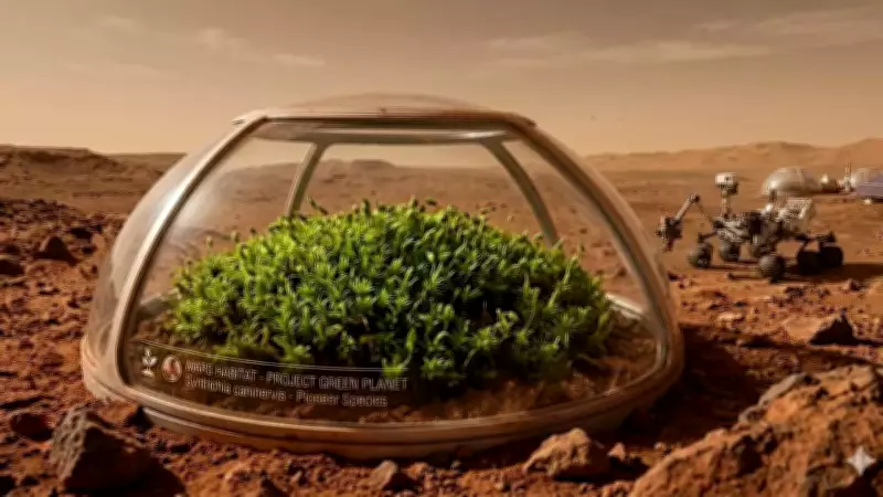 Desert Moss Could Terraform Mars: Survives -196°C, Radiation, Dehydration
