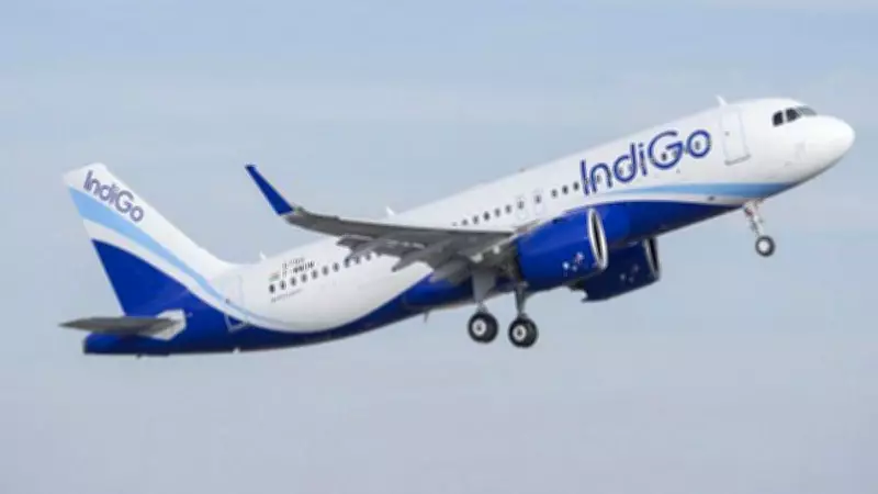 DGCA Adopts Moderate Stance on Summer Flight Approvals Post-IndiGo Incident