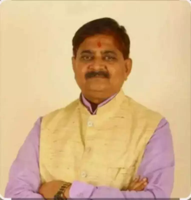 Dhanbad Power Crisis: 20,000 Consumers Cut Off Over Smart Meter Dues