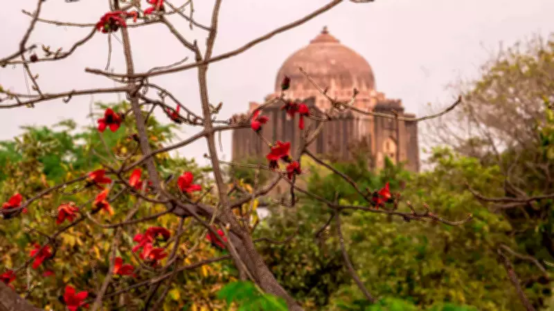 Discover Delhi's Spring Blooms: The Art of Tree Gazing in the Capital