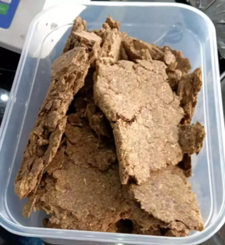 DRI, Customs Seize Rs 2 Crore Hydroponic Weed at Bhubaneswar Airport