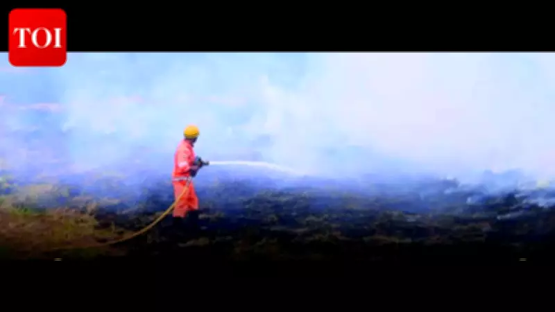 Dry Grass Fire Near Taleigao School Contained, Arson Suspected