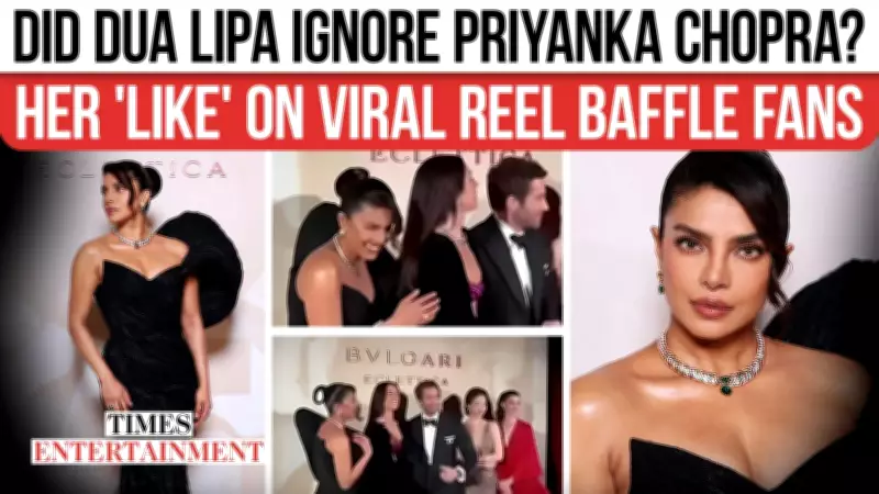 Dua Lipa-Priyanka Chopra Milan Snub Drama: Actor's Reaction Fuels Online Debate