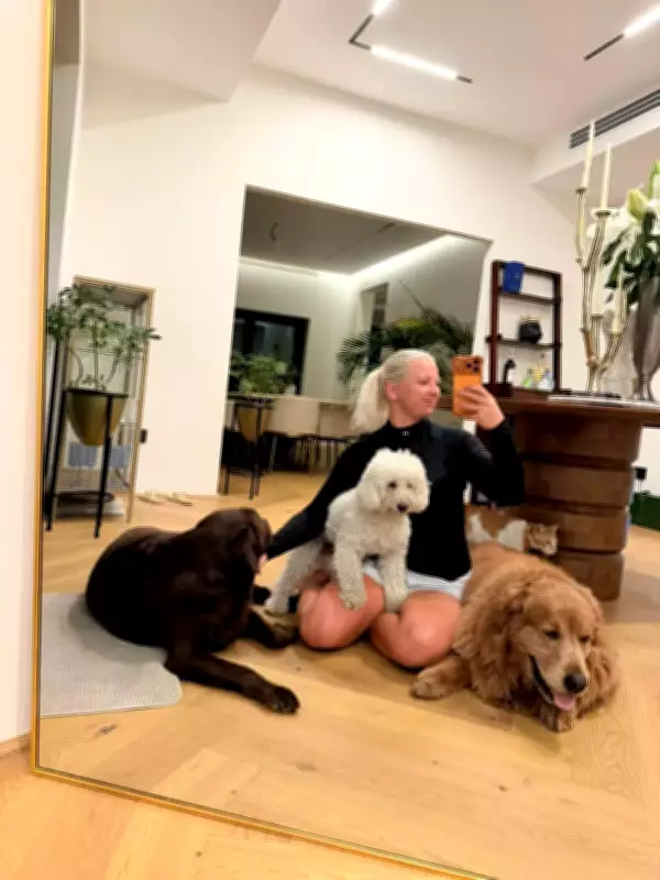 Dubai Pet Abandonment Crisis Deepens Amid Middle East Tensions