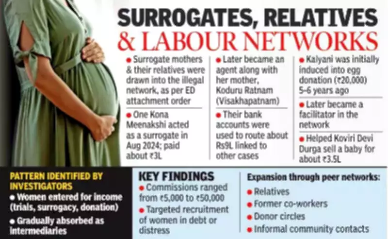 ED Probe Exposes Pipeline of Exploitation in Illegal Surrogacy and Baby-Selling Racket