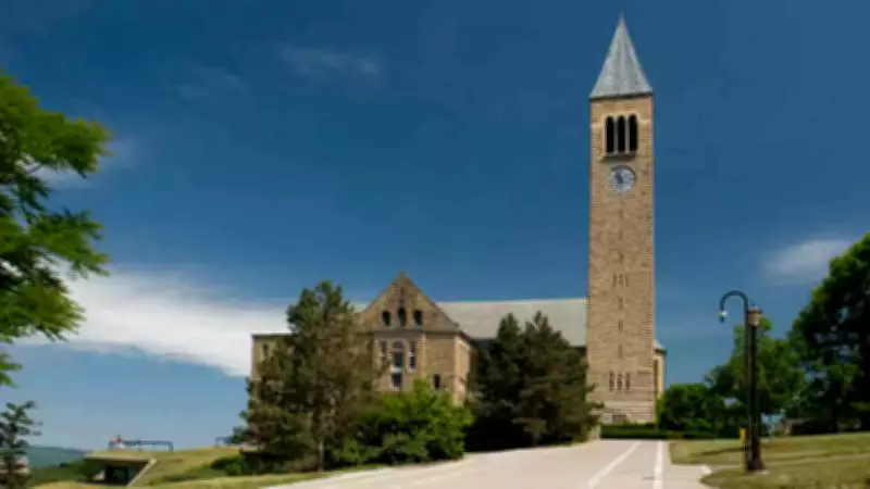 EEOC Probes Cornell University Over Discrimination Allegations with Federal Survey