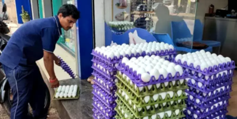 Egg Prices Plummet in Karnataka as Gulf Export Crisis Disrupts Market