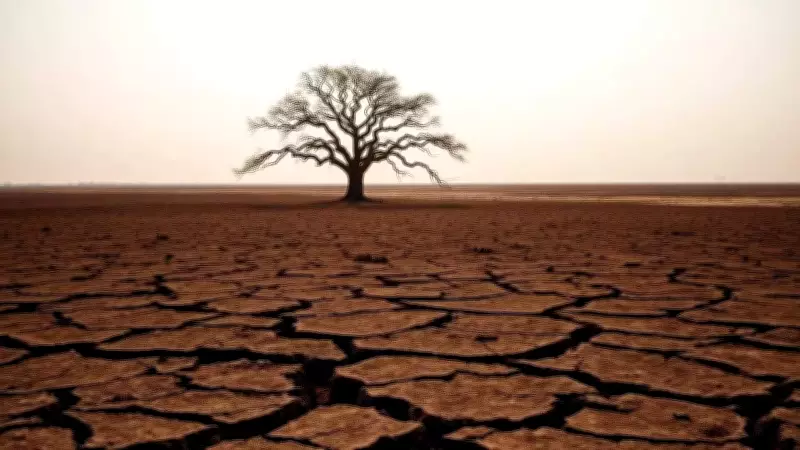 El Nino Forecast Intensifies: 62% Chance by June-Aug, Threat to Indian Monsoon