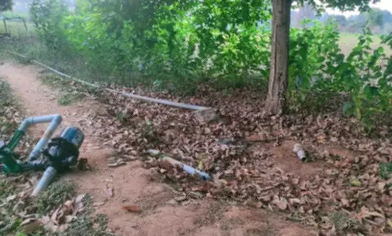 Elephant Duo Wreaks Havoc on Krishnagiri Farm, Villagers Intervene