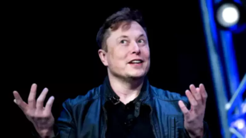 Elon Musk Backs Real-Life Jurassic Park Idea, But Scientists Say It's Impossible