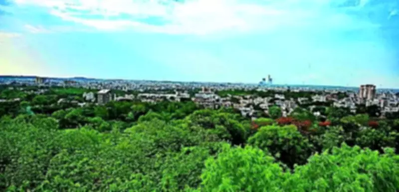 Environment Ministry Proposes Central Body to Fast-Track Green Clearances