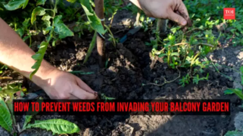 Essential Guide to Preventing Weeds in Your Balcony Garden
