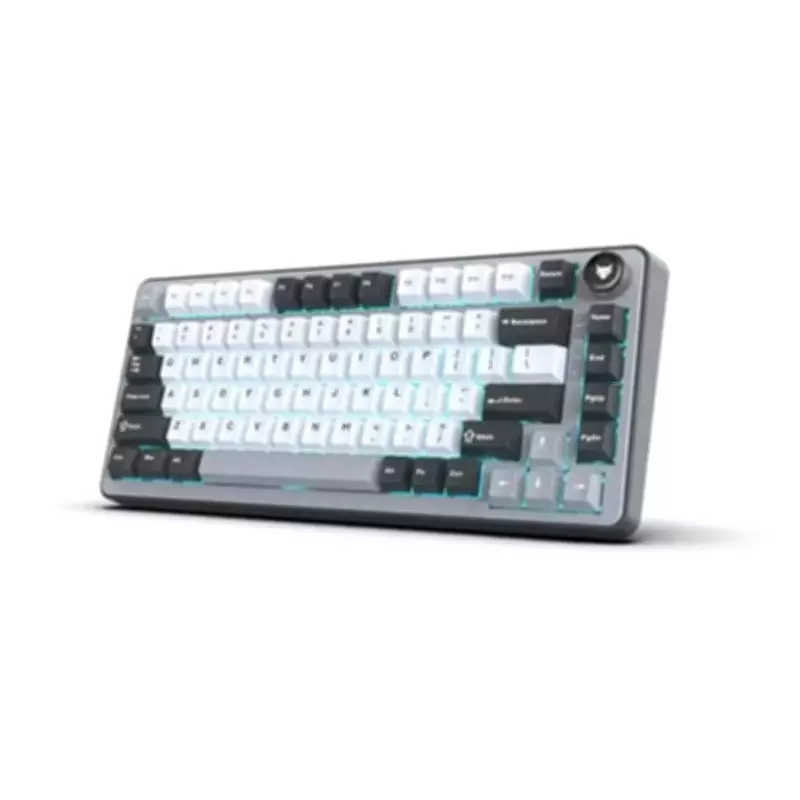 EvoFox Launches Ronin X75 Mechanical Keyboard for Gamers and Professionals in India