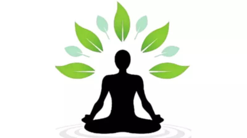 Exploring Self-Realization Through Assertion and Negation in Philosophy