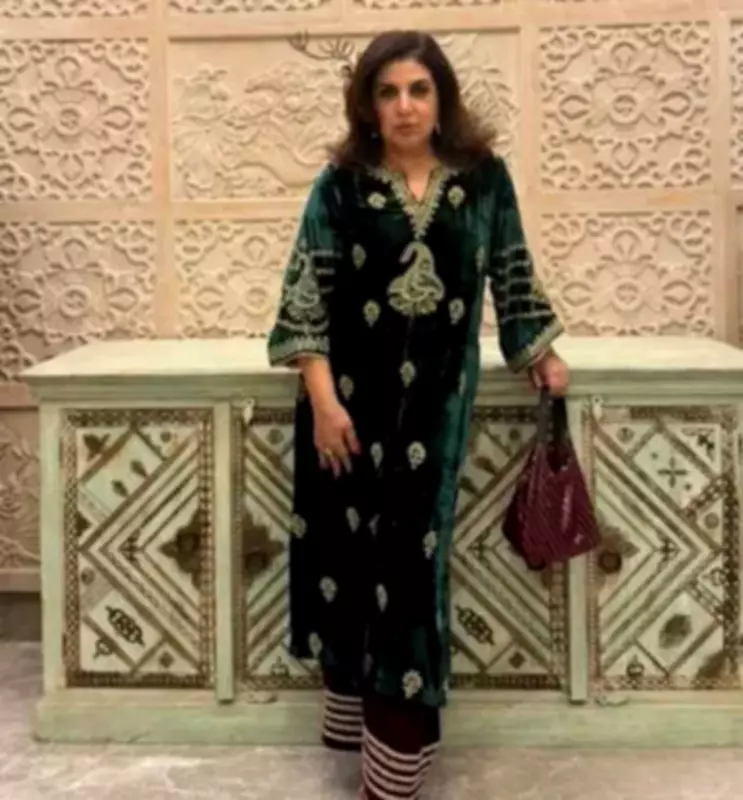 Farah Khan Jokes About Borrowed Clothes at Jodhpur Wedding, Shares Stylish Glimpse