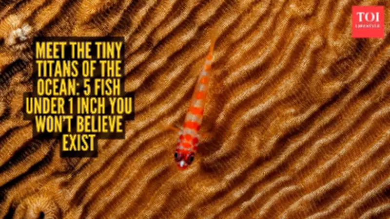 Five Remarkably Tiny Fish Species That Survive in Extreme Environments
