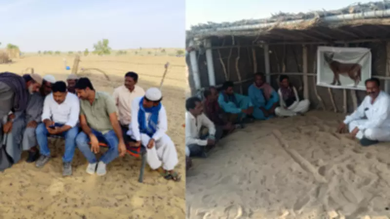 Forest Dept Launches Caracal Conservation Drive After Rare Cat Killed in Jaisalmer