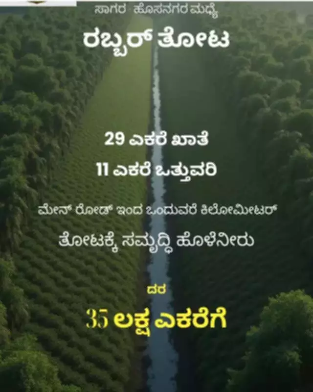 Forest Land Sale Ads Spark Probe in Karnataka's Malnad Region
