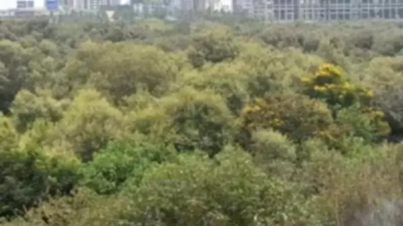Former SC Judge Criticizes Massive Mangrove Felling for Mumbai Coastal Road
