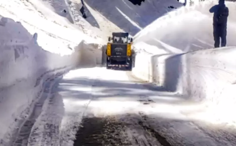 Fresh Snowfall in Kashmir's Higher Reaches, Rains Lash Plains of Valley