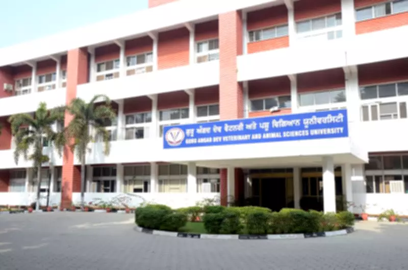 GADVASU Approves Revised Stipend for Veterinary Interns in Ludhiana