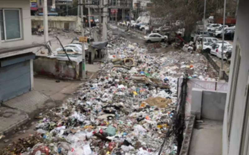 Garbage Strike in Jalandhar: Partap Bagh Road Clogged as Sanitation Workers Protest