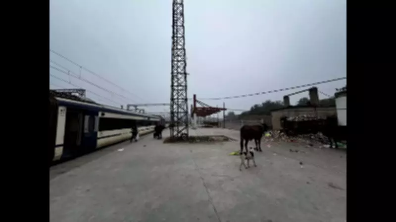 Gaya Railway Station Platform Numbering Confuses Travelers Amid Rs 300 Crore Renovation