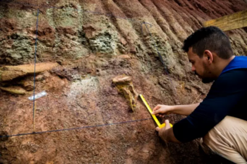 Giant Dinosaur Fossils Unearthed in Brazil Reveal New Species