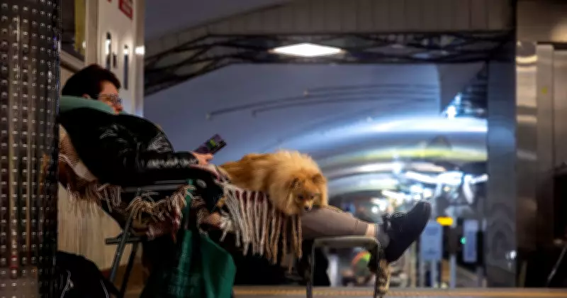 Global Photo Highlights: Gaza Displacement, Agra Harvest, Hyderabad Ram Statue