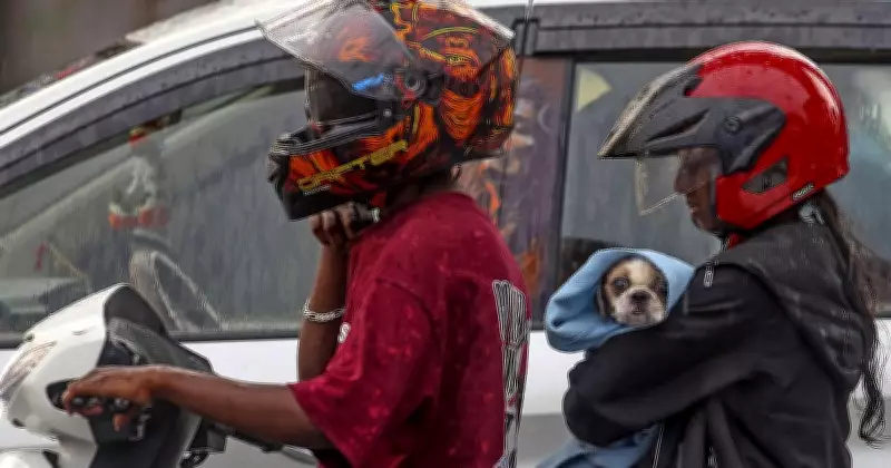 Global Snapshot: Ramzan Sunset, AI Robots, and Snow Clearance in Himachal