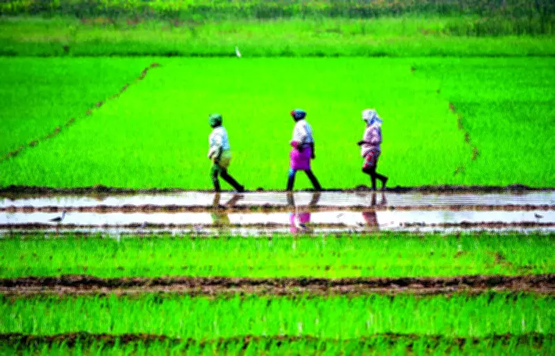 Goa Announces 90% State Funding for Community Farm Infrastructure