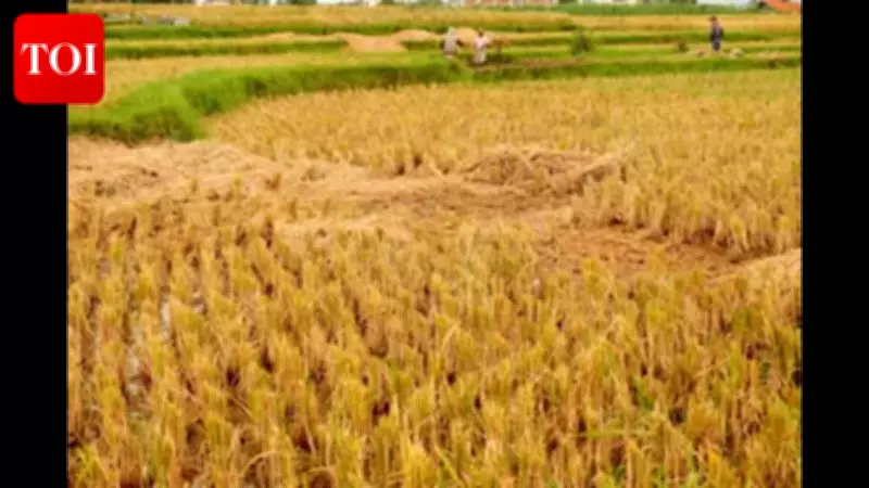 Goa MLA Vijai Sardesai Proposes Agricultural Land Protection Bill for 2026