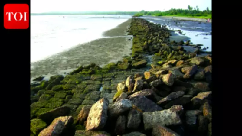 Goa Moves to Protect Historic Gopakapattana Port and 14 Other Archaeological Sites