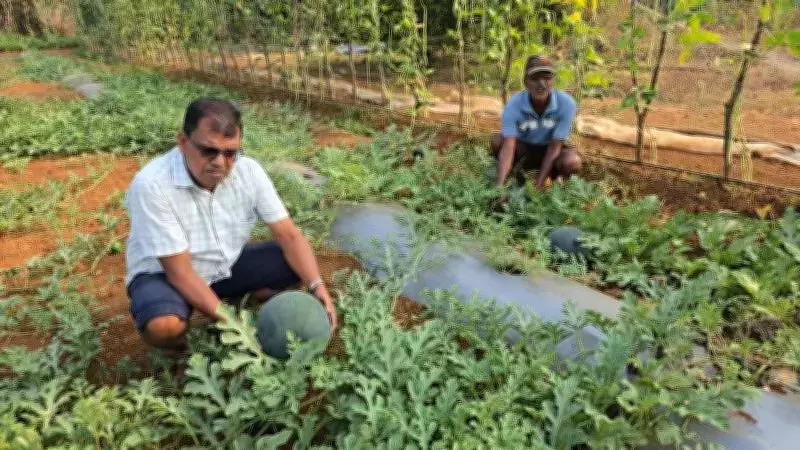 Goan Youth's Farming Model Yields 4x Returns, Inspires Self-Reliance Mission