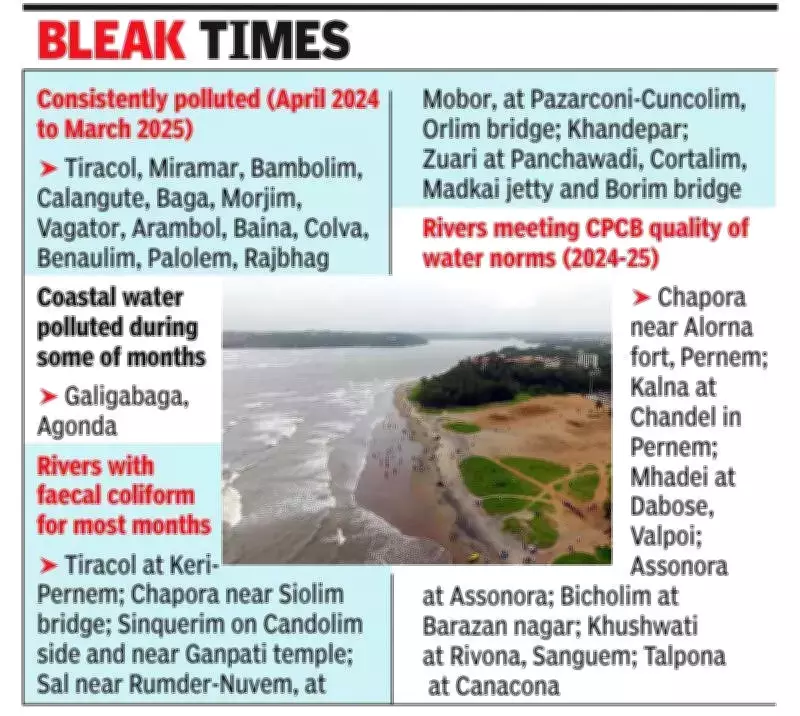 Goa's Coastal and River Waters Found Highly Polluted, Unfit for Bathing and Fishing