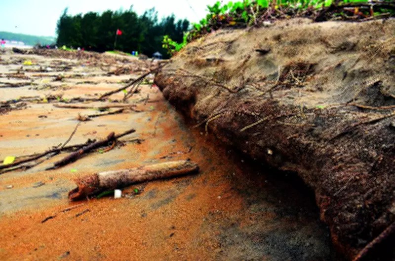 Goa's Coastline Stability Plummets: Erosion Claims 2.7% of Beach Area, Report Reveals