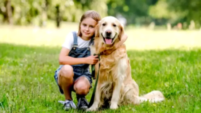 Golden Retrievers: 7 Compelling Reasons Why They Are Ideal Family Dogs for Children