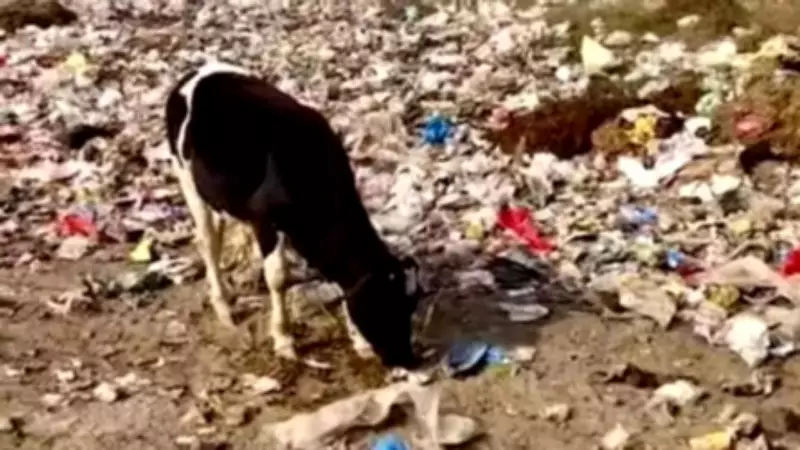 Greater Noida Residents Protest Garbage Crisis, Demand Permanent Waste Solution