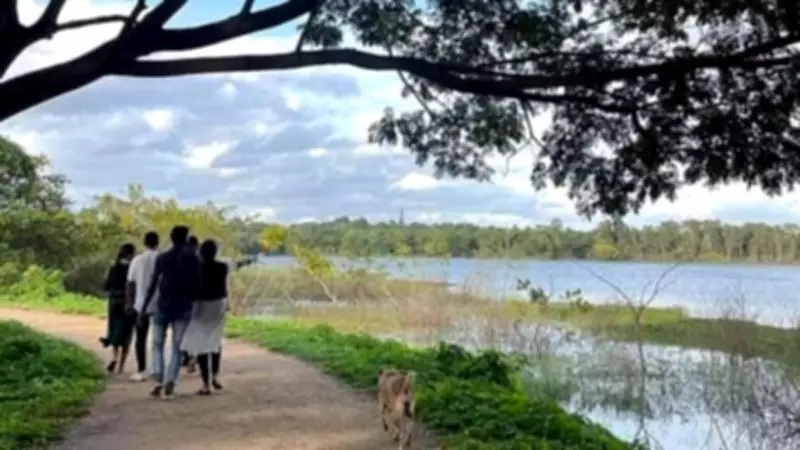 Greens Challenge Commercial Complex in Mysuru's Kukkarahalli Lake Buffer Zone