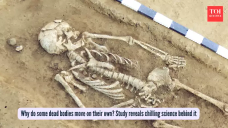 Groundbreaking Study Reveals Human Bodies Can Move After Death During Decomposition