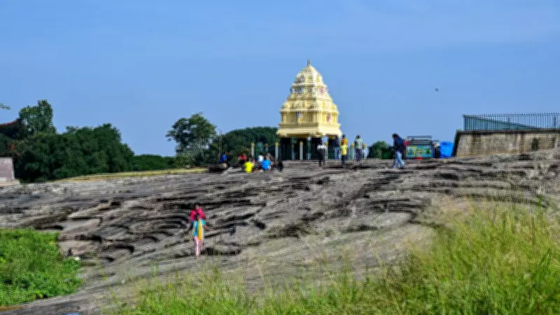 GSI Forms Expert Panel to Assess Tunnel Impact on Bengaluru's Lalbagh Garden