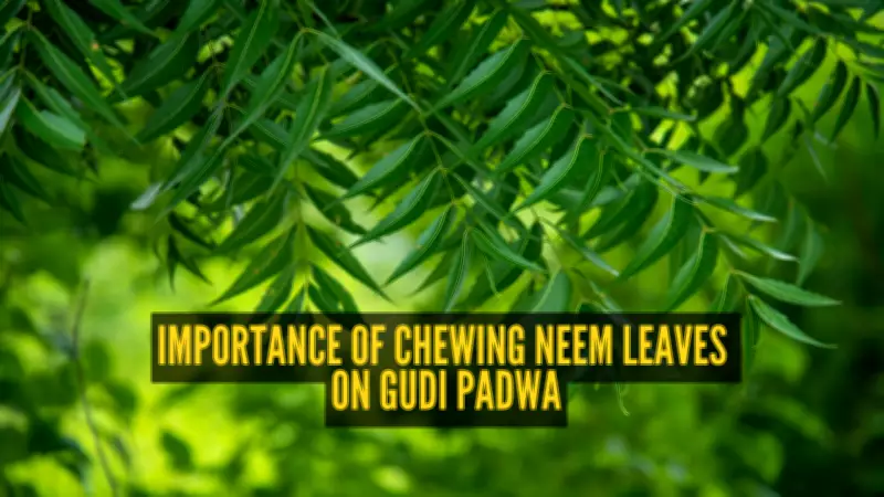 Gudi Padwa 2026: The Science and Symbolism Behind Eating Neem Leaves