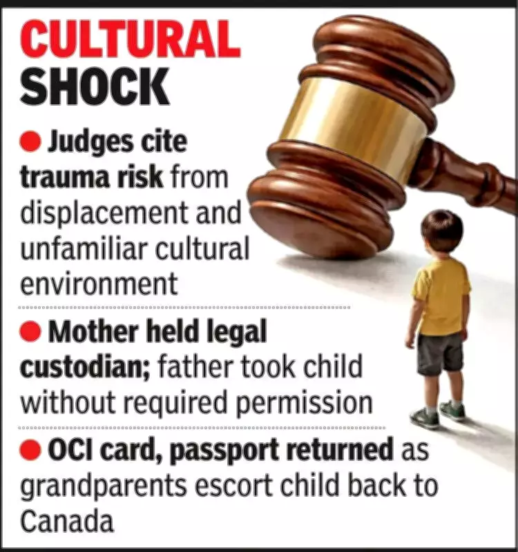 Gujarat HC Orders Father to Return Son to Mother in Canada, Citing Unlawful Custody