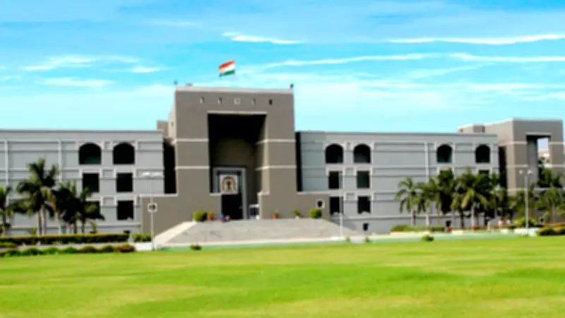 Gujarat High Court Stays SHRC Order on Doctor Compensation in Infant Death Case